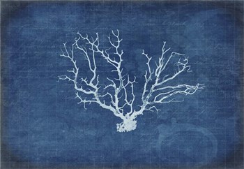 Gypsy Blue Cyanotype V3 by LightBoxJournal art print