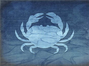 Gypsy Blue Cyanotype V4 by LightBoxJournal art print