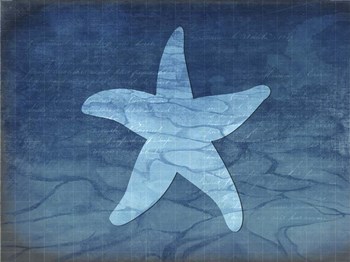 Gypsy Blue Cyanotype V6 by LightBoxJournal art print