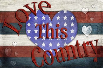 American Freedom Collection 2 by LightBoxJournal art print