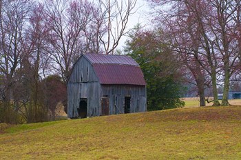 Abandon Barn by Lori Hutchison art print