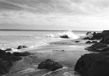 Point Dume by Lori Hutchison art print