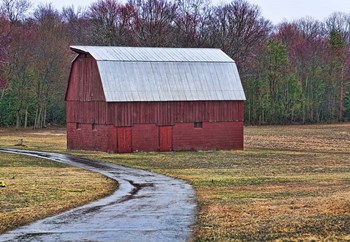 Red Barn by Lori Hutchison art print
