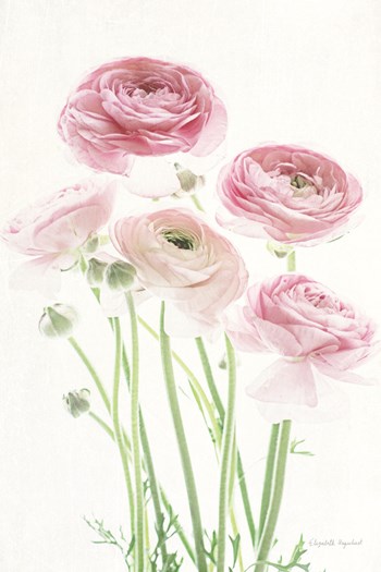 Light and Bright Floral V by Elizabeth Urquhart art print