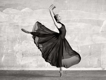 Ballerina Dancing by Haute Photo Collection art print
