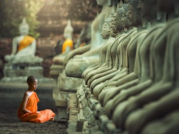 Young Buddhist Monk praying, Thailand by Pangea Images art print
