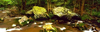 Stream flowing through a Forest, Great Smoky Mountains National Park, Tennessee by Panoramic Images art print