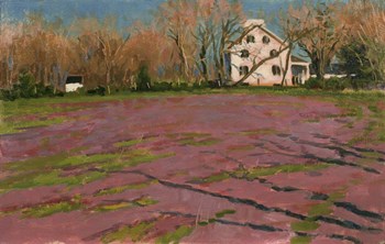 Giligo&#39;s Field by Michael Budden art print