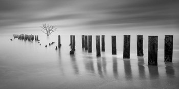 Codigo Arbol F by Moises Levy art print