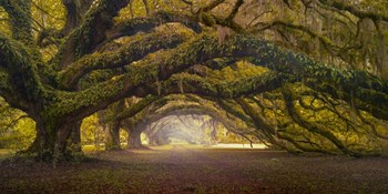 Passage 1 Soft Color by Moises Levy art print