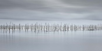 Drawing Lines by Moises Levy art print