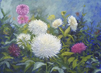 White &amp; Pink Blooms by Rusty Frentner art print