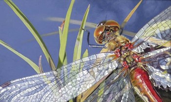 Gem Wings by Rusty Frentner art print