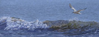 Sailing by Rusty Frentner art print