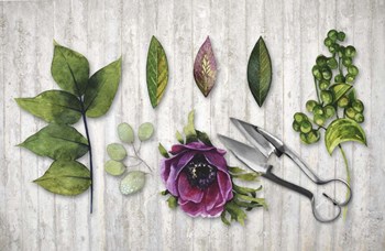 Botanica by Tina Lavoie art print