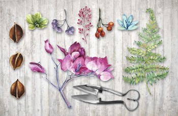 Botanica II by Tina Lavoie art print