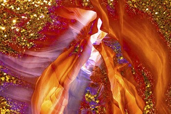 Shelter by Tina Lavoie art print