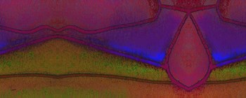 Compartmentalization by Tina Lavoie art print