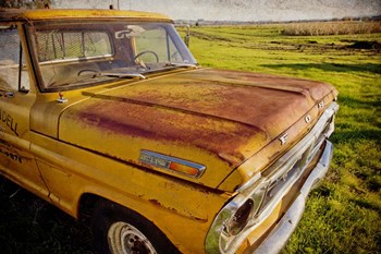 Ford 250 by Jessica Rogers Photography art print