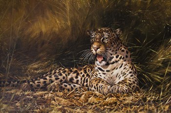 Leopard by Michael Jackson art print