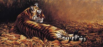 Reclining Tiger by Michael Jackson art print