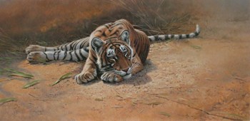 Tiger Cub Heat Of The Day by Michael Jackson art print