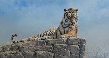 Tiger on Rock by Michael Jackson art print