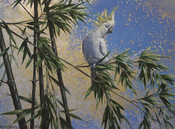 Tropical Perch by Michael Jackson art print