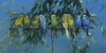Budgies by Michael Jackson art print