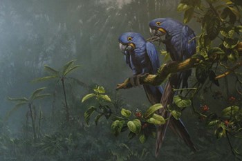 Blue Parrots by Michael Jackson art print