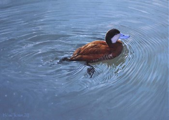 Duck by Michael Jackson art print