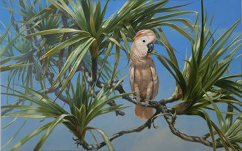 Mullocan by Michael Jackson art print