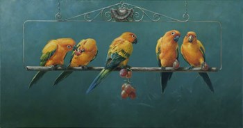Sunconures by Michael Jackson art print