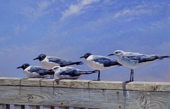 Waiting for the Boats by Michael Jackson art print