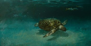 Searching the Shallows by Michael Jackson art print