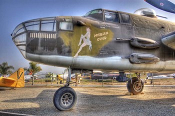 Problem Child by Robert Kaler art print