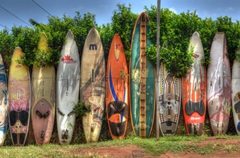 Surf Boards by Robert Kaler art print