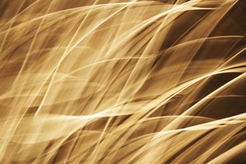 Poesia En Monocromo 2 by Stessi art print