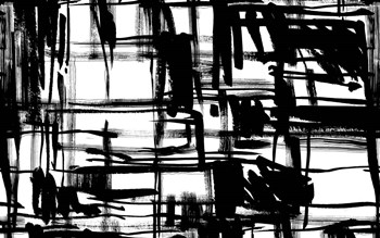 Black and White by Stessi art print