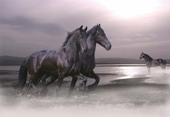 Dawn Mist by Bob Langrish art print