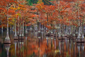 Quiet Cove by Chris Moore art print