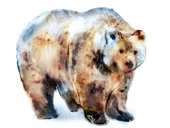 Bear Blue by Edward Selkirk art print