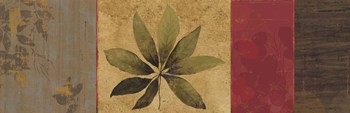 Leaf Impressions I by Posters International Studio art print