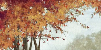 Fall Canopy I by Posters International Studio art print