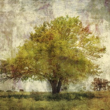 Vintage Tree by Posters International Studio art print