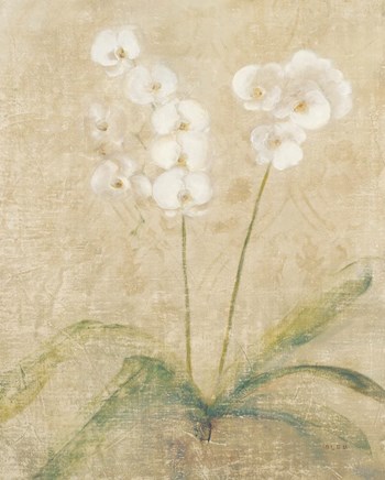 Orchid Cool by Cheri Blum art print