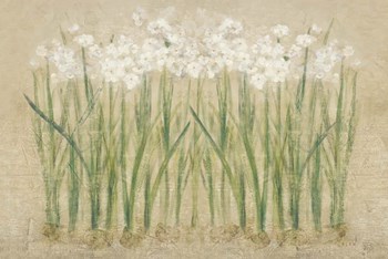 Narcissus Row Cool by Cheri Blum art print