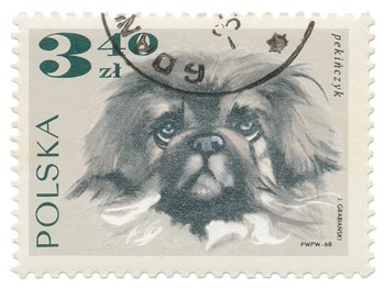 Poland Stamp III on White by Wild Apple Portfolio art print