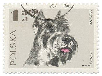 Poland Stamp I on White by Wild Apple Portfolio art print