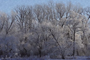 Ice Land by Denise Romita art print